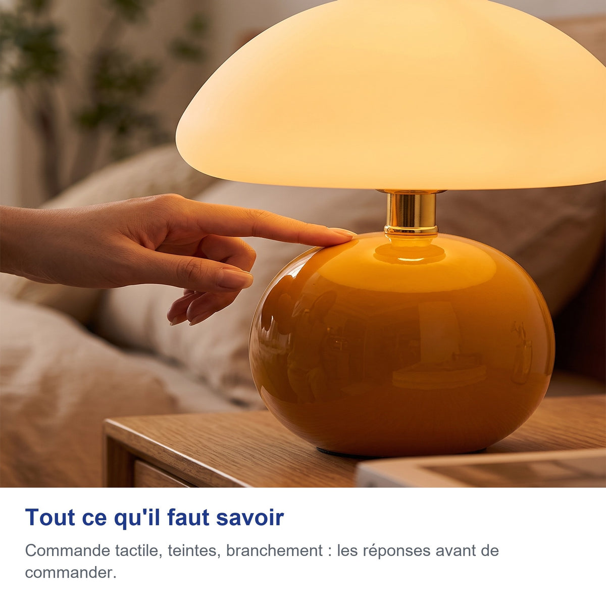 Tout ce qu'il faut savoir