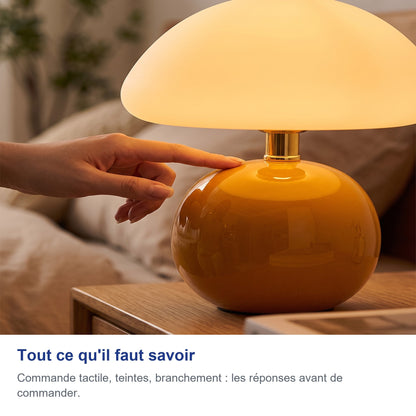 Tout ce qu'il faut savoir
