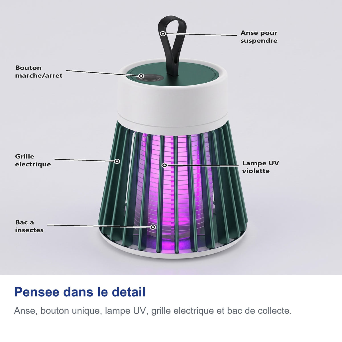 Pensee dans le detail