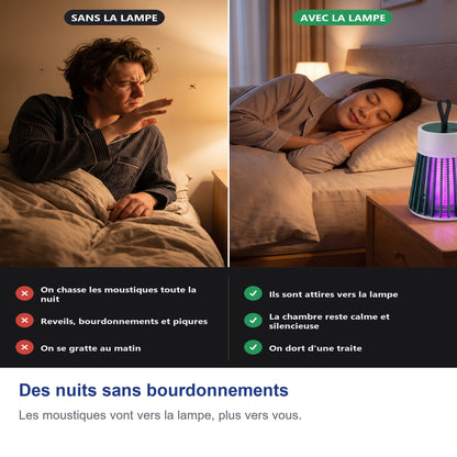 Des nuits sans bourdonnements