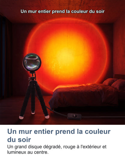 Un mur entier prend la couleur du soir