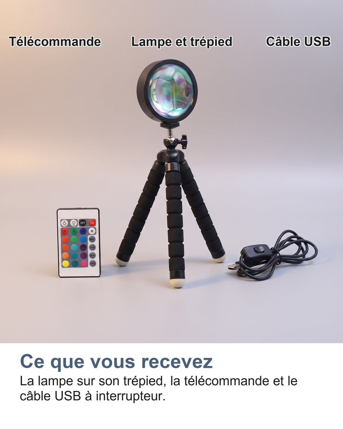 Ce que vous recevez