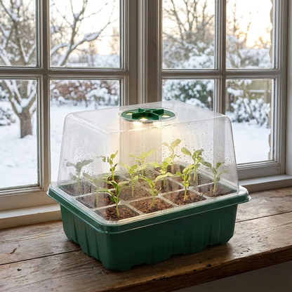 Mini serre de semis 12 alvéoles, lampe LED dans le couvercle