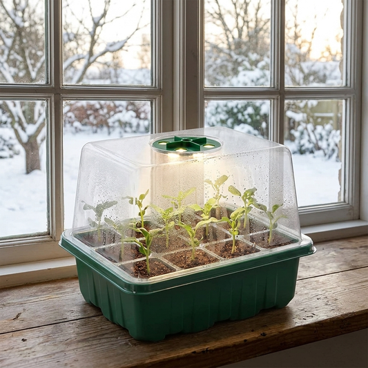 Mini serre de semis 12 alvéoles, lampe LED dans le couvercle