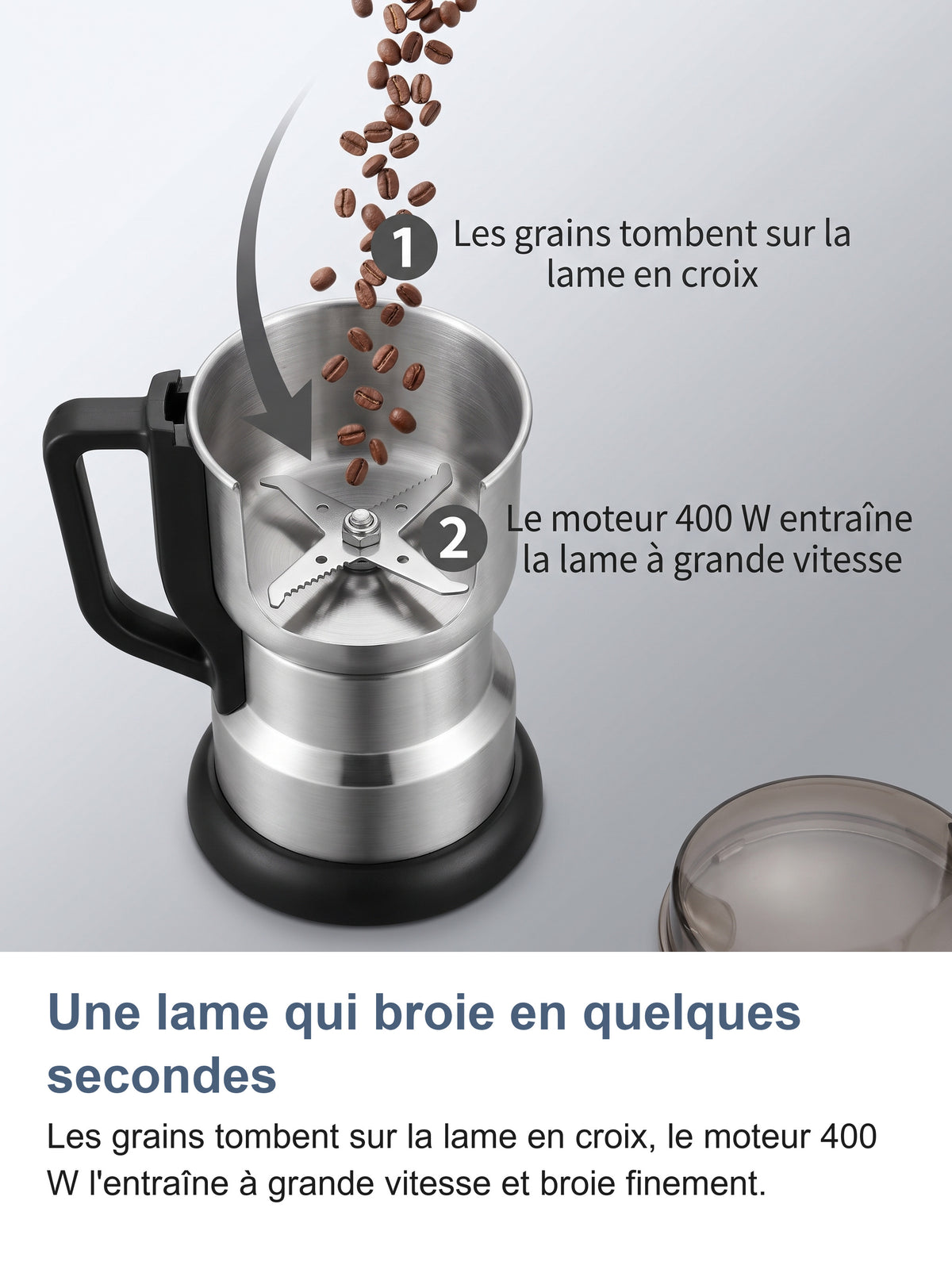 Coupe du moulin : les grains tombent sur la lame en croix, le moteur 400 W la met en rotation