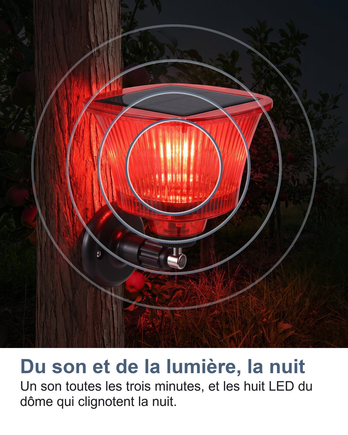 Du son et de la lumière, la nuit Un son toutes les trois minutes, et les huit LED du dôme qui clignotent la nuit.