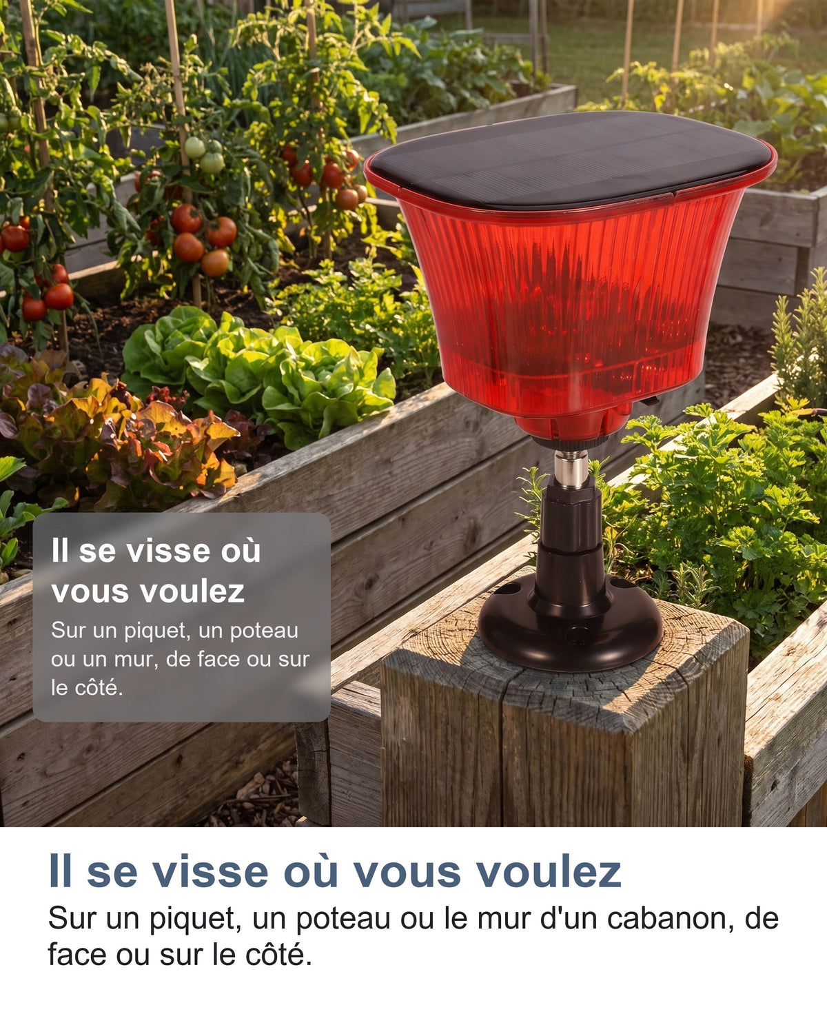 Il se visse où vous voulez Sur un piquet, un poteau ou le mur d'un cabanon, de face ou sur le côté.