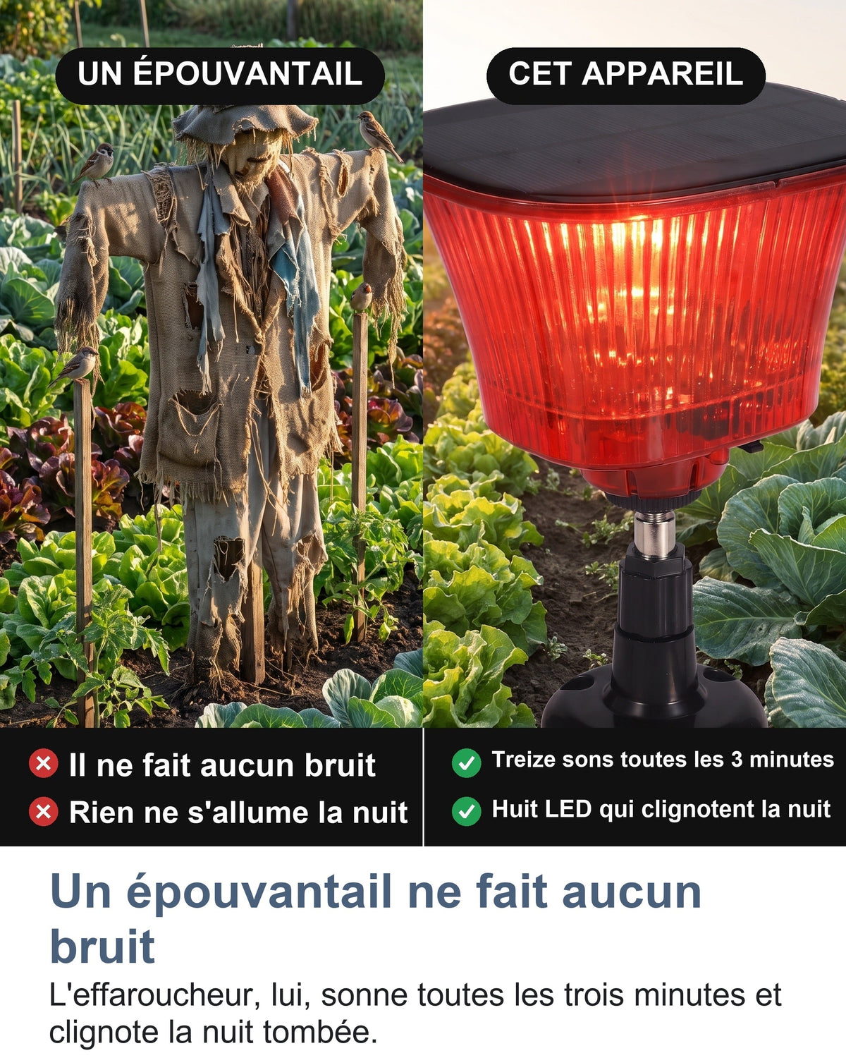 Un épouvantail ne fait aucun bruit L'effaroucheur, lui, sonne toutes les trois minutes et clignote la nuit tombée.