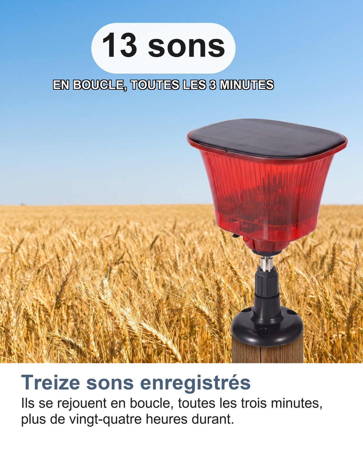 Treize sons enregistrés Ils se rejouent en boucle, toutes les trois minutes, plus de vingt-quatre heures durant.