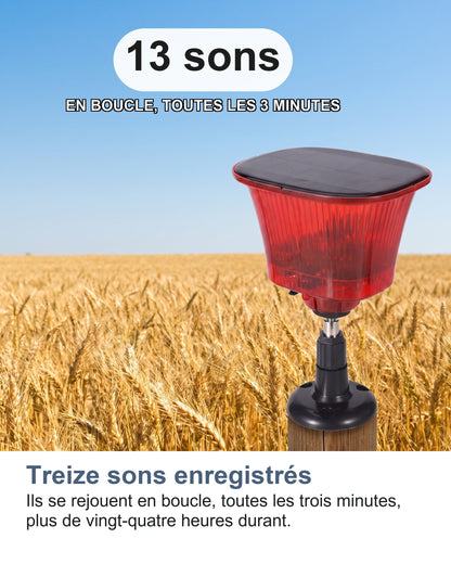 Treize sons enregistrés Ils se rejouent en boucle, toutes les trois minutes, plus de vingt-quatre heures durant.