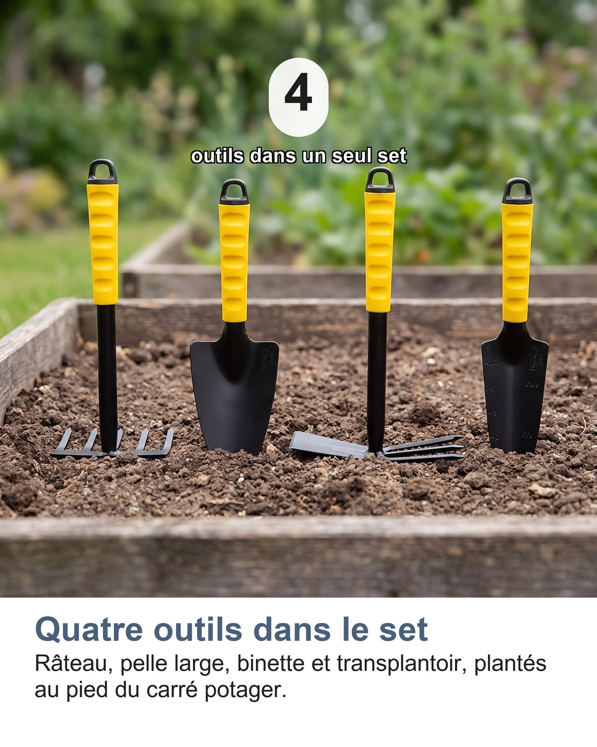 Quatre outils dans le set Râteau, pelle large, binette et transplantoir, plantés au pied du carré potager.