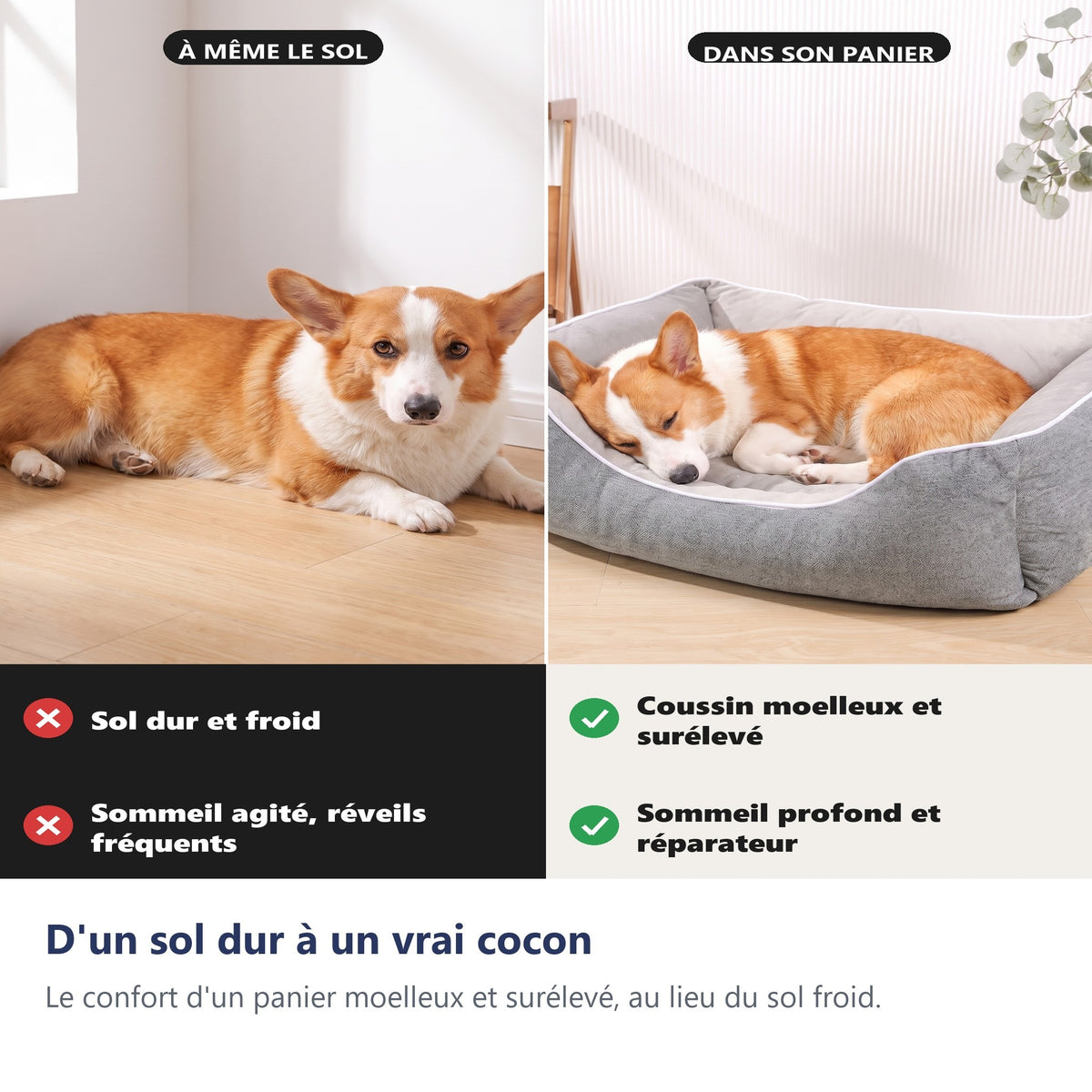 D'un sol dur à un vrai cocon