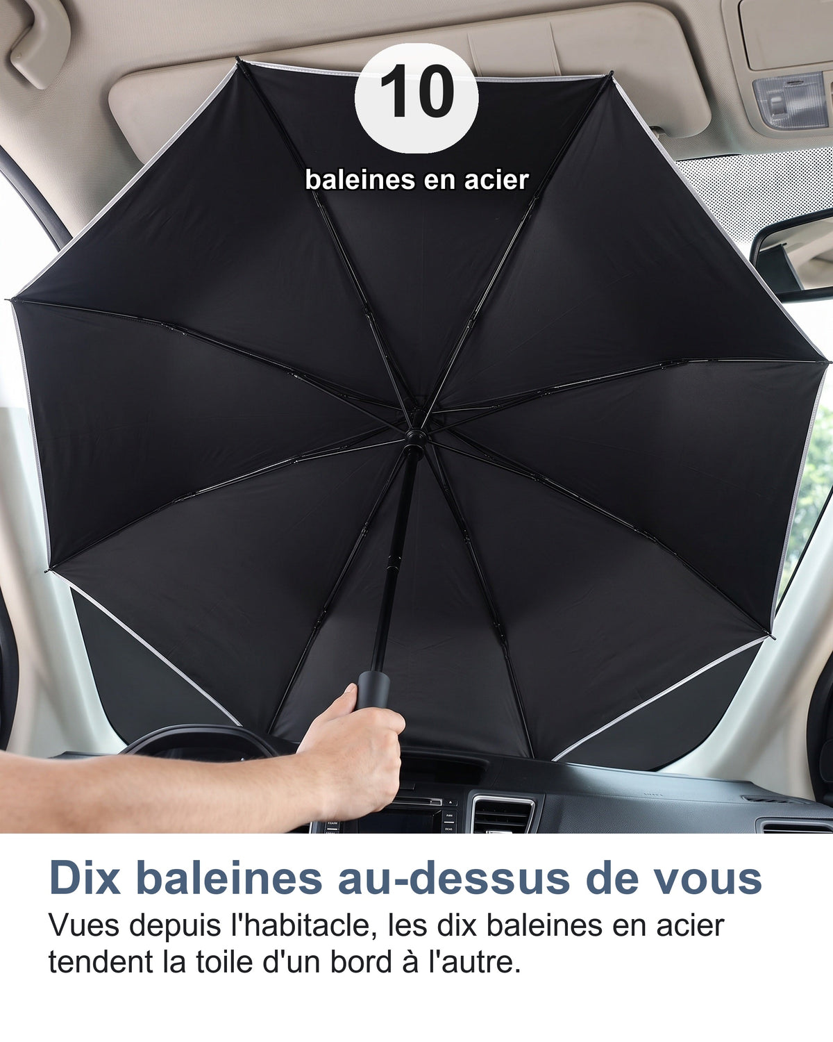 Dix baleines au-dessus de vous Vues depuis l'habitacle, les dix baleines en acier tendent la toile d'un bord à l'autre.