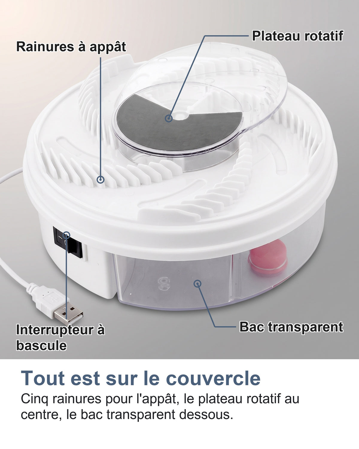 Tout est sur le couvercle Cinq rainures pour l'appât, le plateau rotatif au centre, le bac transparent dessous.