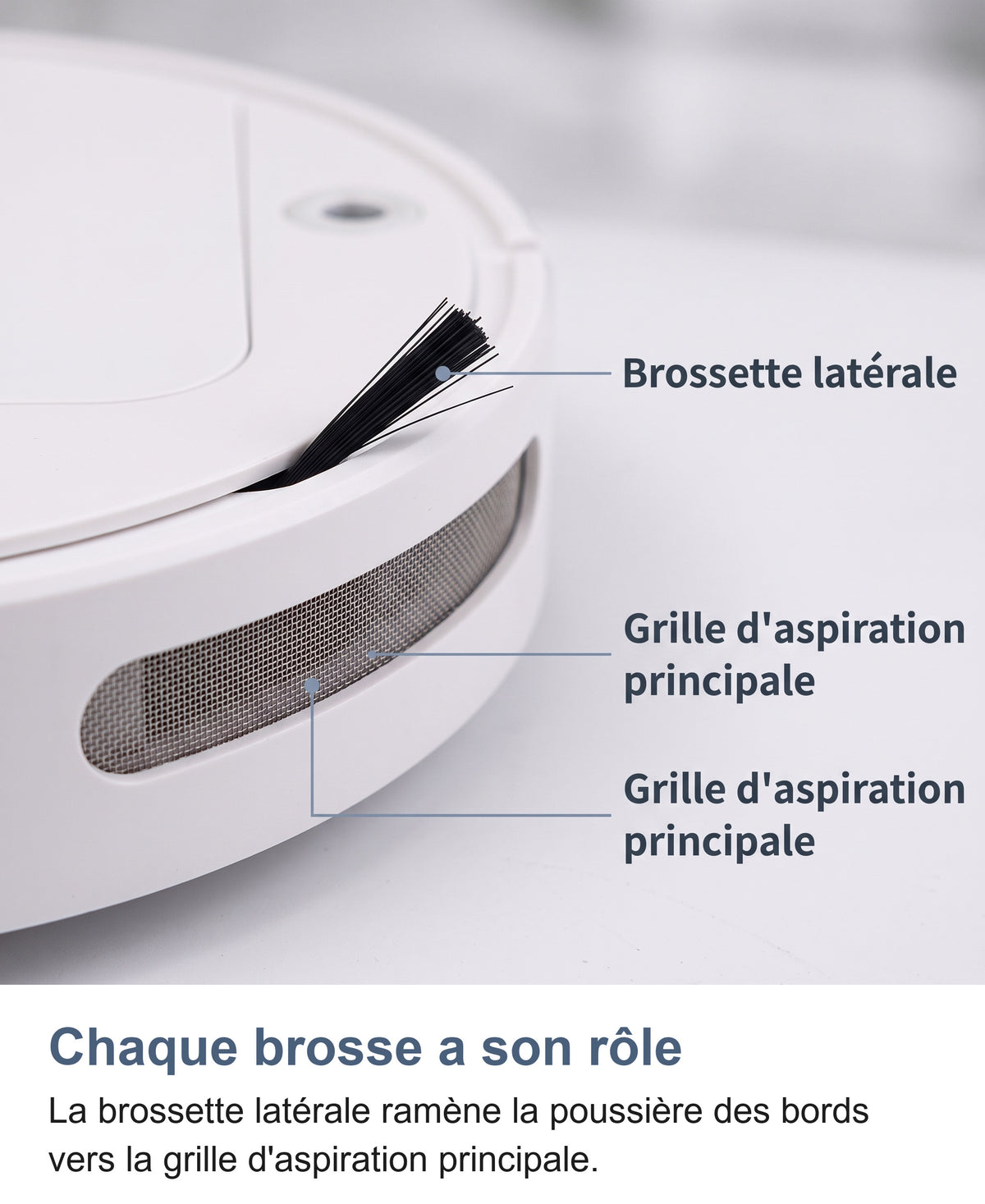Macro de la brossette latérale et de la grille d'aspiration principale
