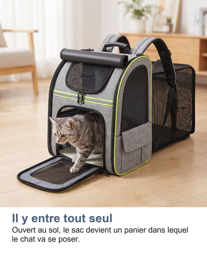 Un chat qui entre dans le sac de transport ouvert
