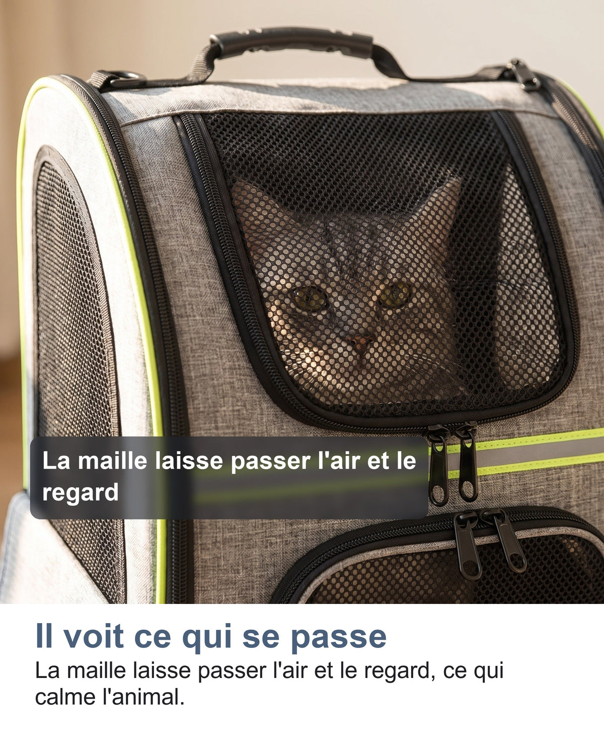 Un chat qui regarde à travers la maille du sac de transport