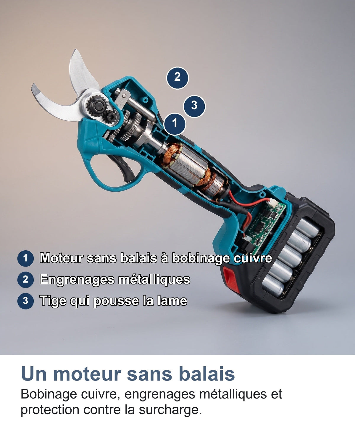 Coupe du sécateur électrique montrant le moteur