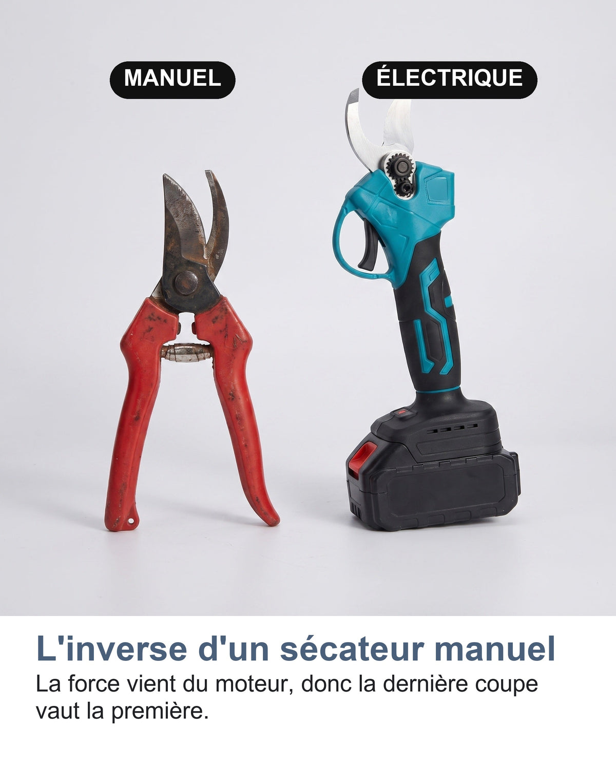Sécateur manuel et sécateur électrique côte à côte