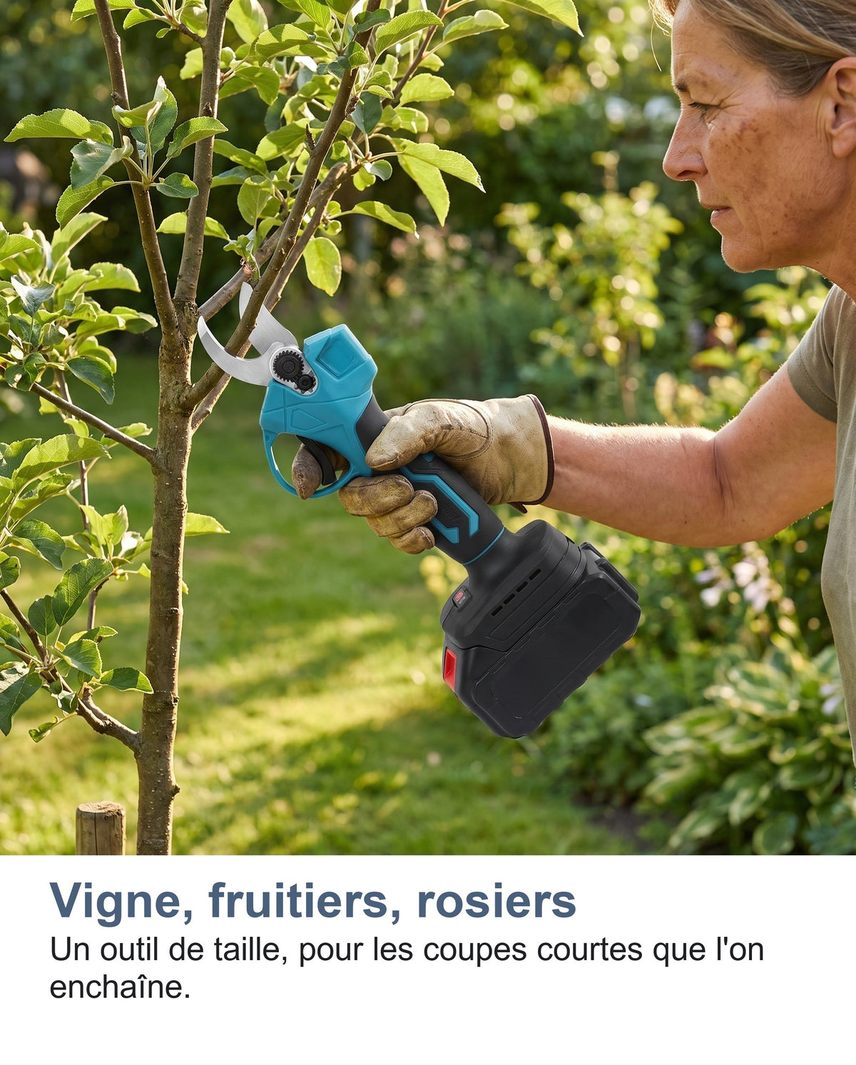 Le sécateur électrique utilisé sur un arbre fruitier