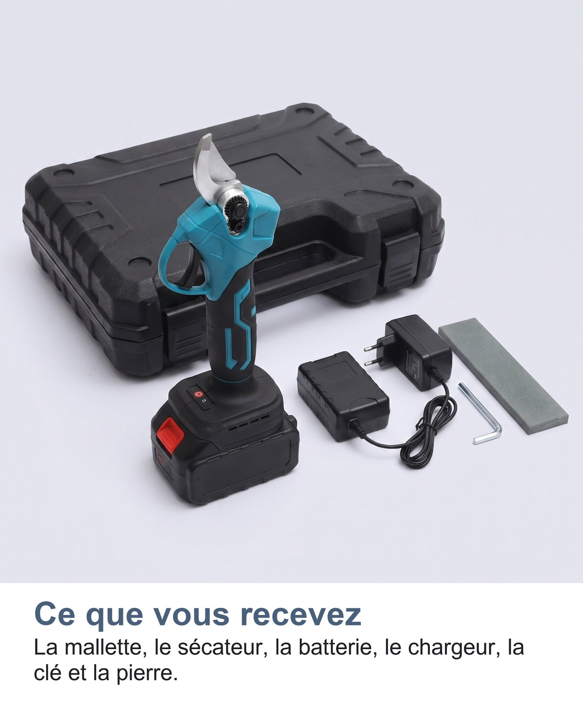 Le contenu de la mallette du sécateur électrique