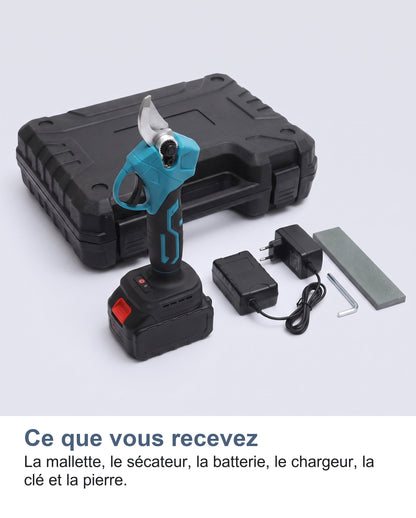 Le contenu de la mallette du sécateur électrique