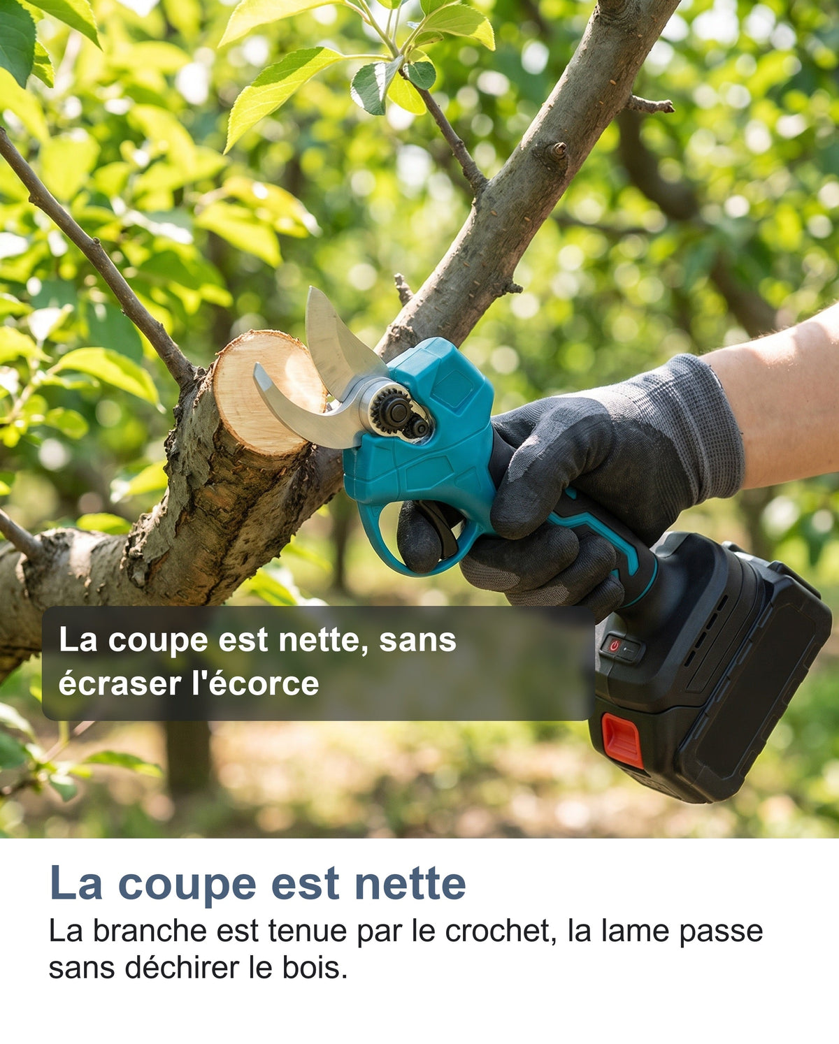 Le sécateur électrique coupant une branche