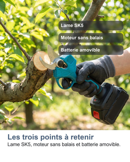 Le sécateur électrique tenu en main au jardin