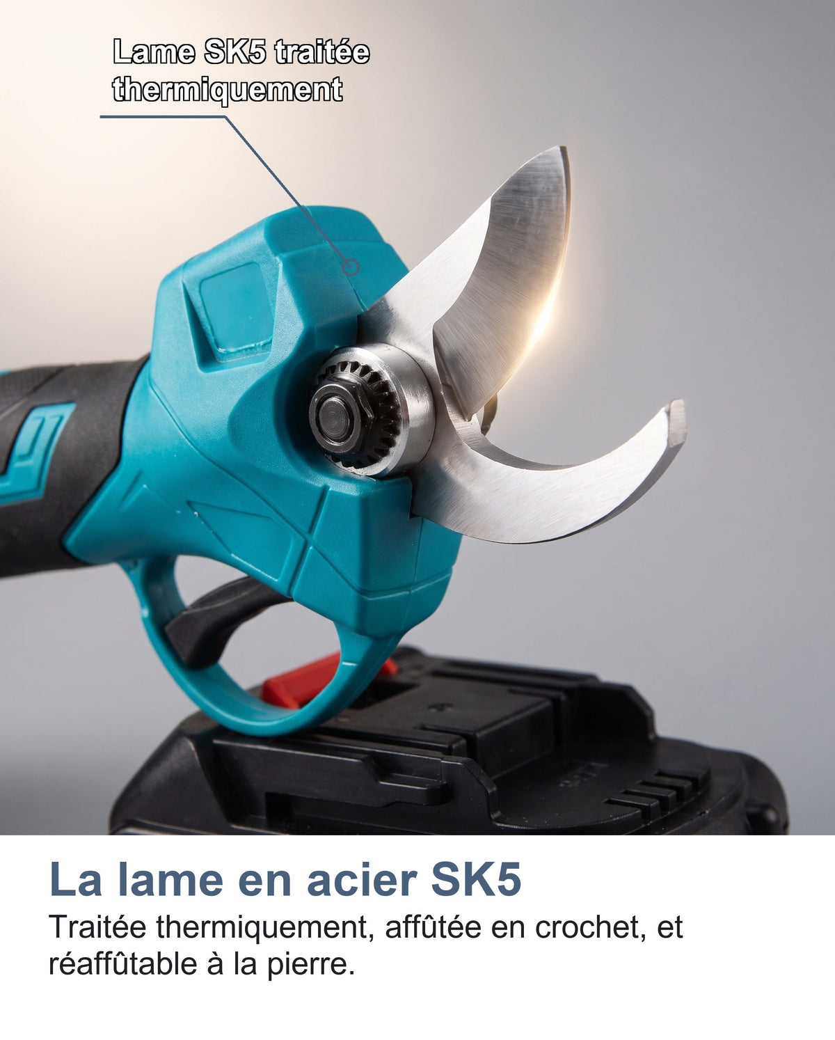 Gros plan sur la lame SK5 du sécateur électrique