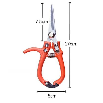 Sécateur à tête droite : 17 cm de long, lame de 7,5 cm, 5 cm de large
