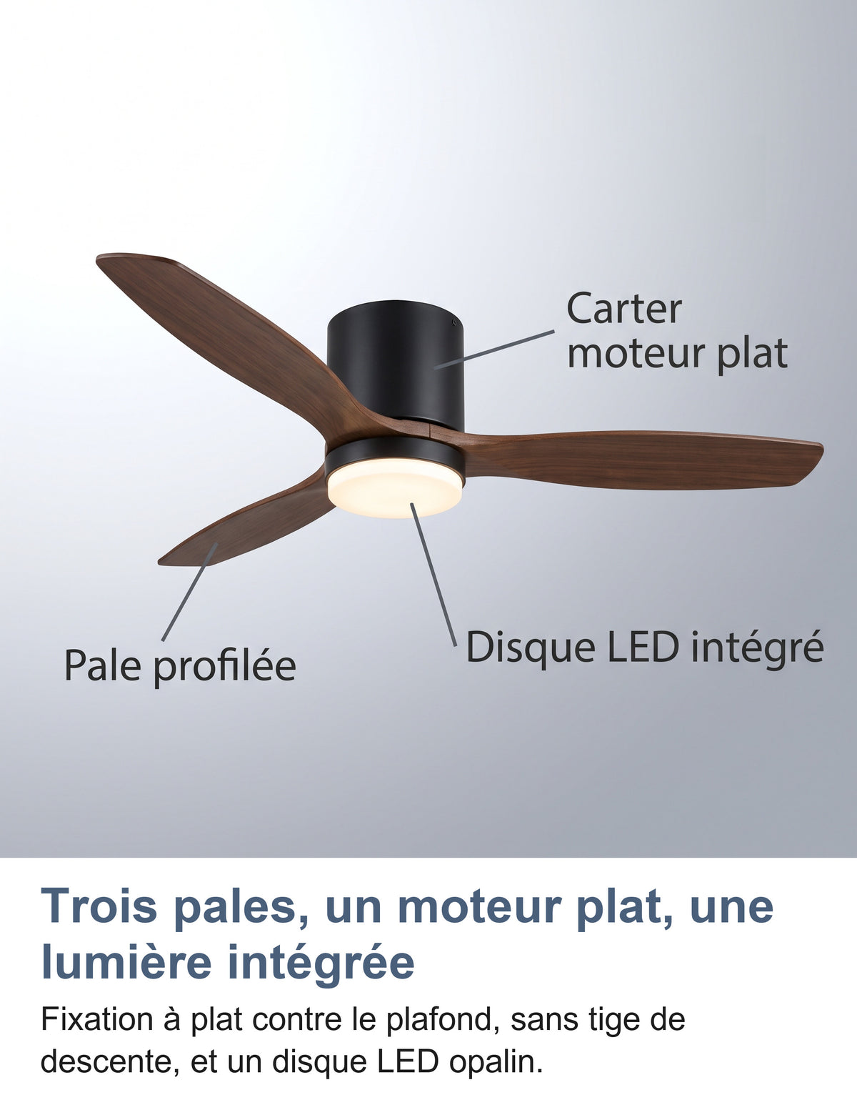 Les parties du ventilateur de plafond noir et bois : pale profilée, carter moteur plat et disque LED intégré