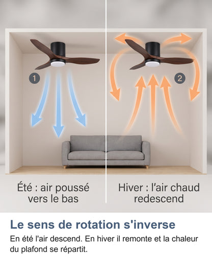 Ventilateur de plafond en été, air poussé vers le bas, et en hiver, air chaud qui redescend le long des murs