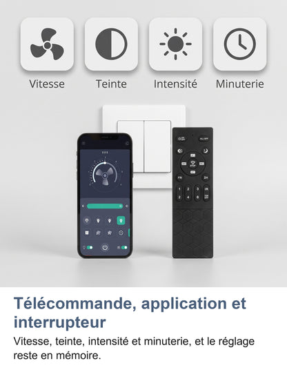Commandes du ventilateur de plafond : application sur téléphone, télécommande et interrupteur mural, vitesse, teinte, intensité et minuterie