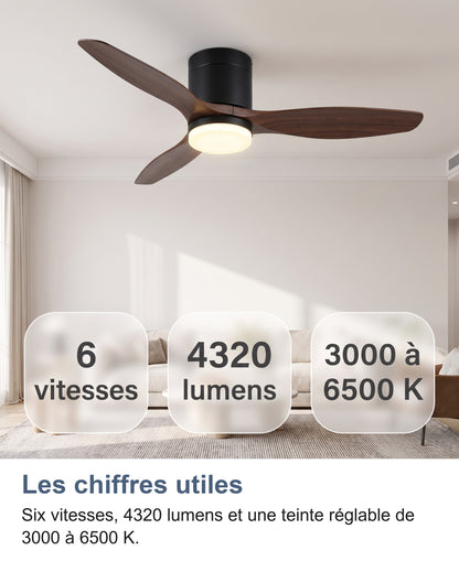 Ventilateur de plafond dans un salon avec 6 vitesses, 4320 lumens et 3000 à 6500 K
