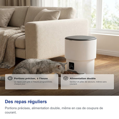 Des repas réguliers