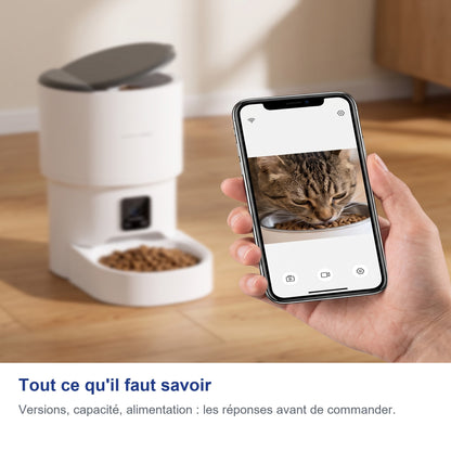 Tout ce qu'il faut savoir