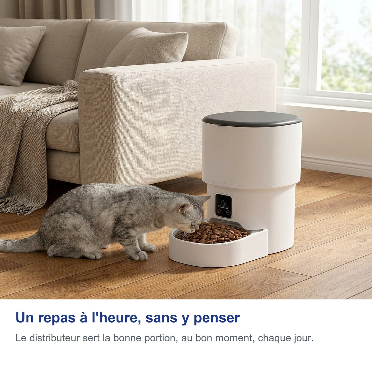 Un repas à l'heure, sans y penser