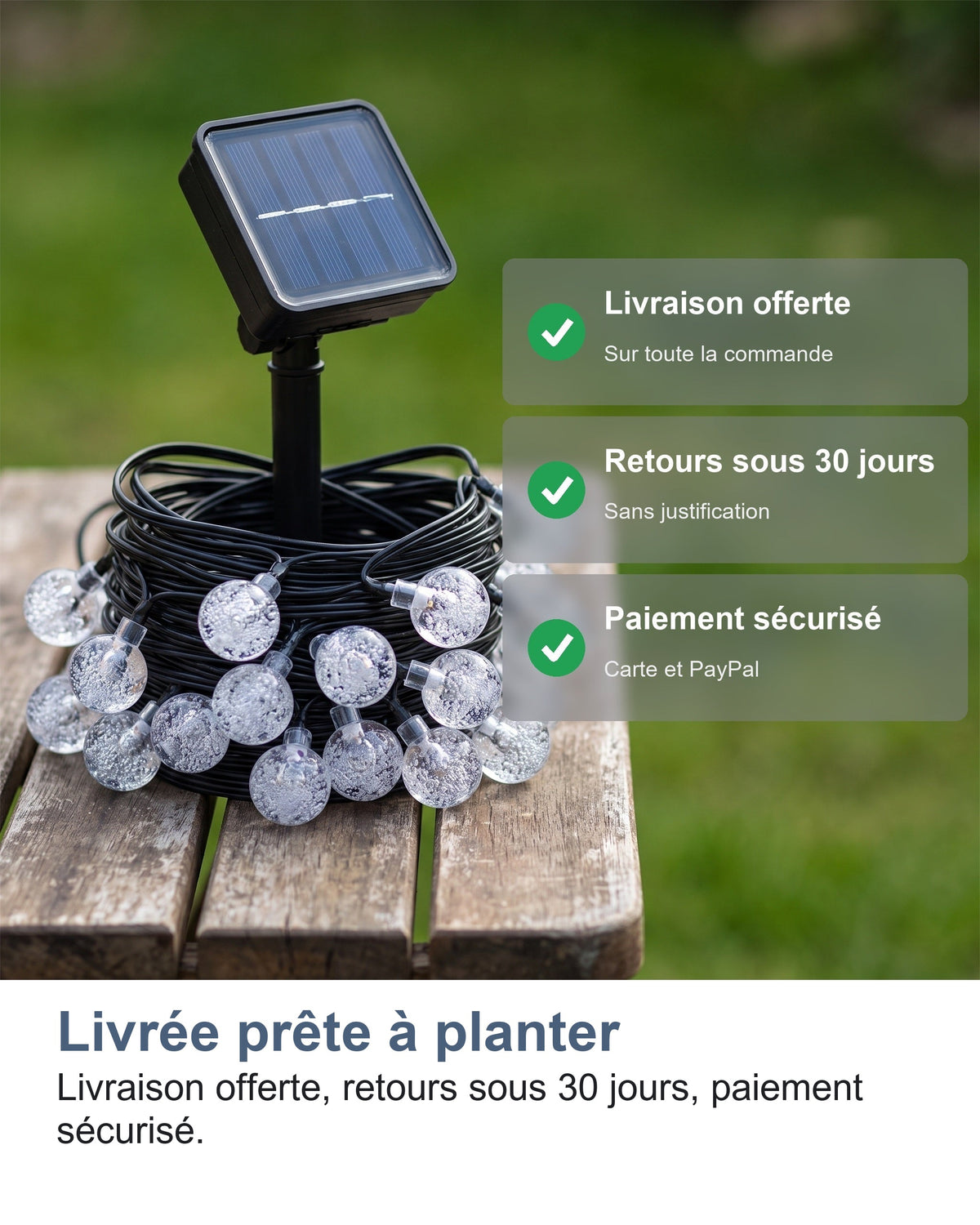 Livrée prête à planter Livraison offerte, retours sous 30 jours, paiement sécurisé.