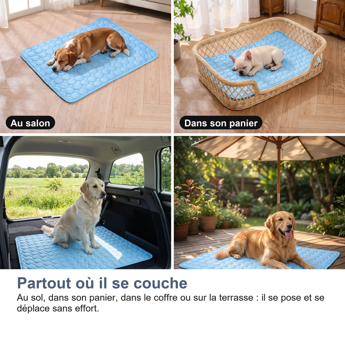 Six tailles disponibles, de XS à 2XL