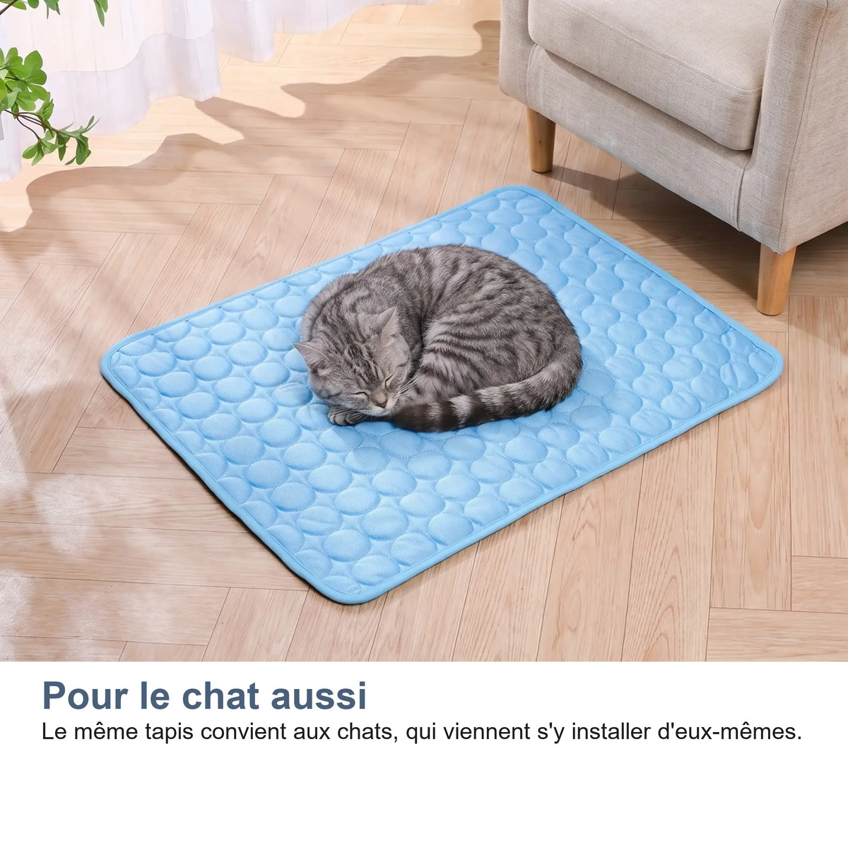 Le tapis rafraîchissant convient aussi aux chats