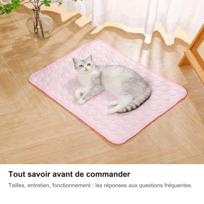 Tout savoir avant de commander