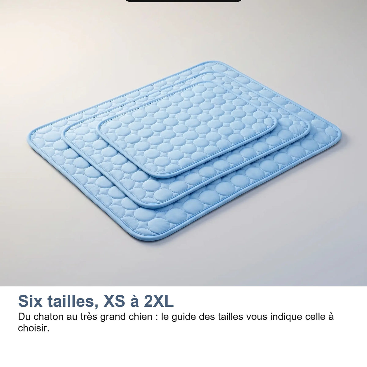 Les six tailles du tapis rafraîchissant, de XS à 2XL