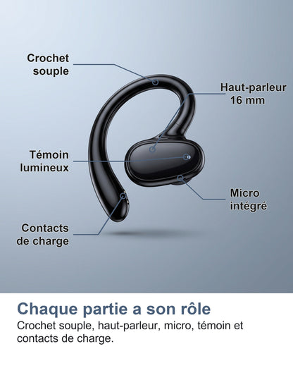 Les parties d'un écouteur traducteur : crochet, haut-parleur, micro