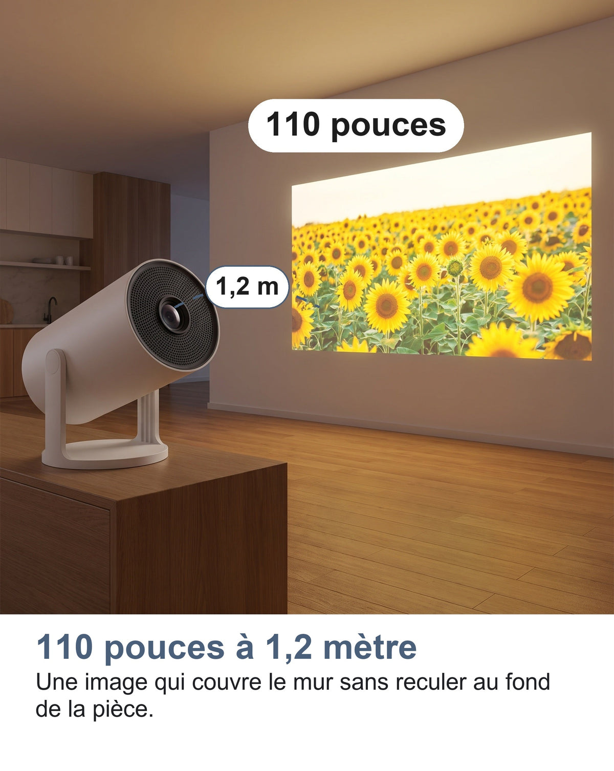 Le vidéoprojecteur projette 110 pouces à 1,2 mètre du mur