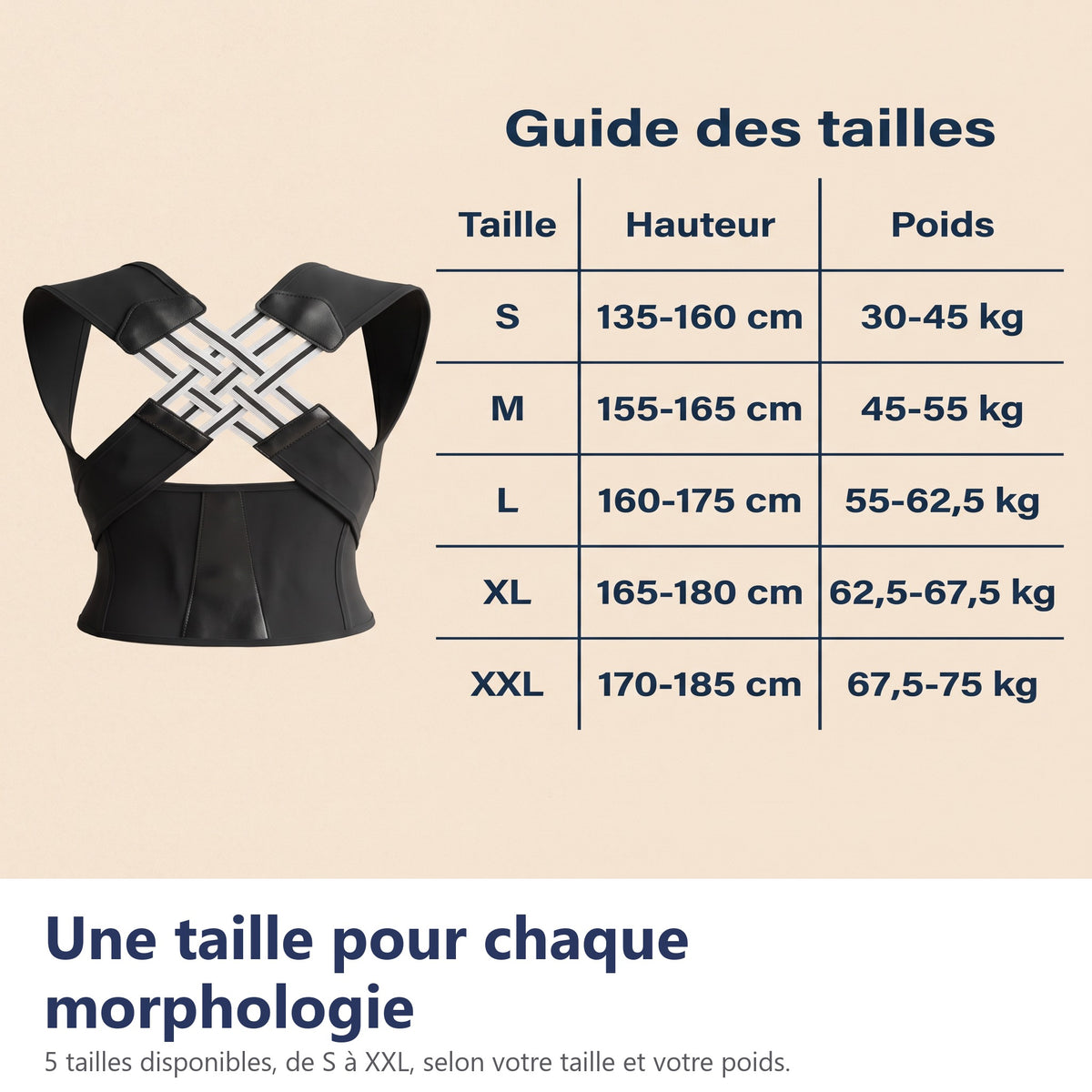 Une taille pour chaque morphologie