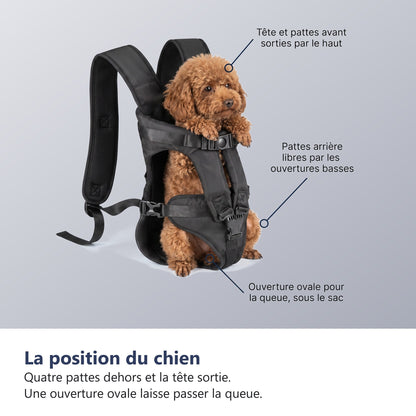 La position du chien