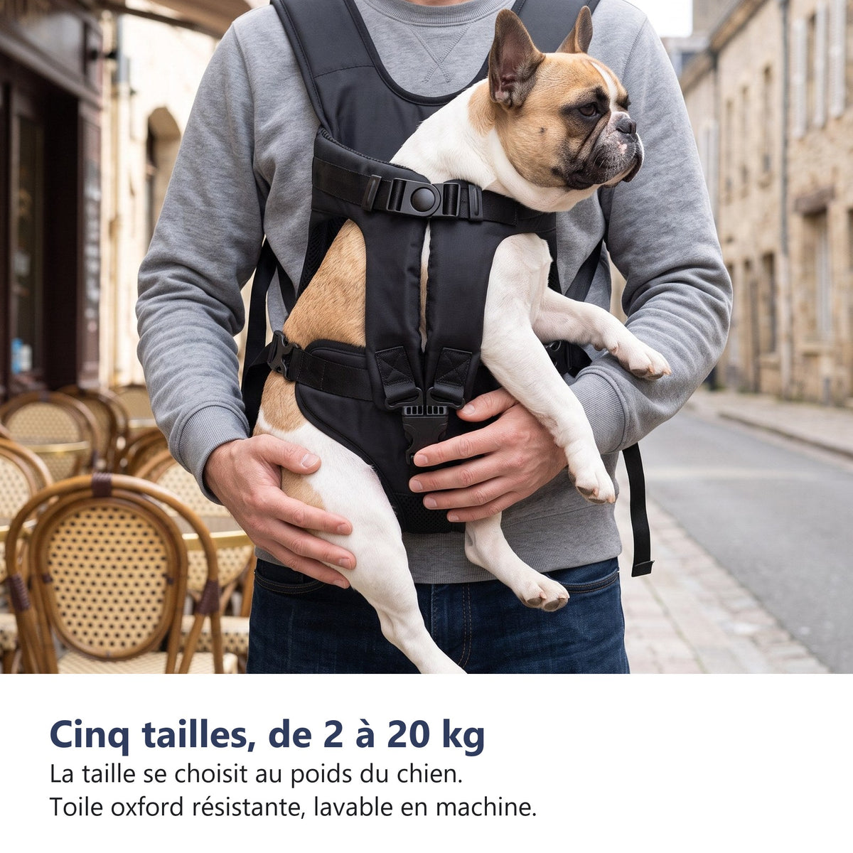 Cinq tailles de 2 a 20 kg